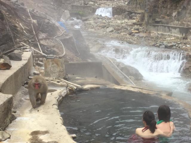 Jigokudani Onsen Korakukan Ξενοδοχείο Nakano  Εξωτερικό φωτογραφία