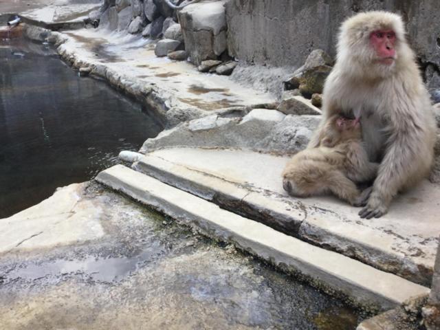 Jigokudani Onsen Korakukan Ξενοδοχείο Nakano  Εξωτερικό φωτογραφία